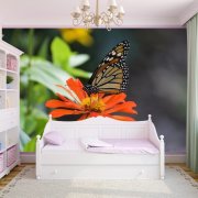 Papiers peints avec papillons: choisissez vous-même