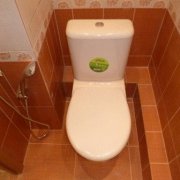 Πλακάκια στην τουαλέτα: προτάσεις εγκατάστασης