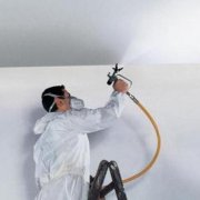 Spray gun for whitewashing the ceiling: which one to choose