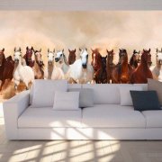 Papier peint chevaux: comment l'utiliser à l'intérieur