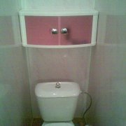 Doe-het-zelf toiletdecoratie met plastic panelen: kenmerken en installatie