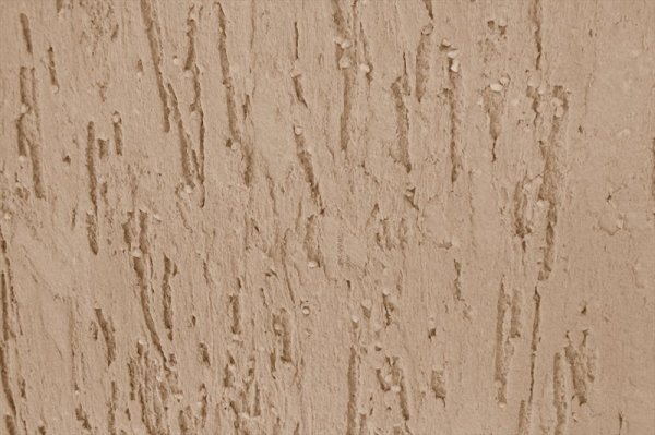 La texture du plâtre du scolyte