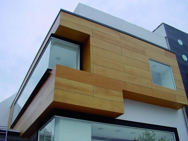 Lapisan fasad dengan komposit: panel polimer kayu