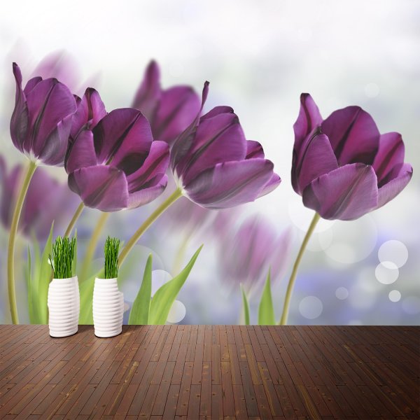Papiers peints avec des tulipes violettes