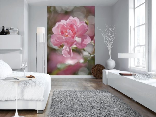 Papiers peints avec l'image d'une seule fleur, à l'intérieur du salon