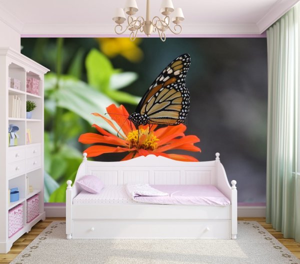 Sur la photo, papier peint photo avec un papillon sur une fleur, à l'intérieur de la chambre de la fille