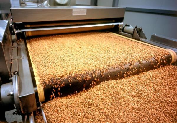 Il processo di produzione del granulato di sughero, dal quale verrà successivamente creato il sughero