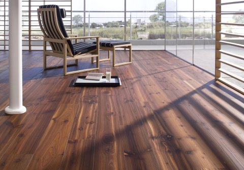 جمال الأرضيات الخشبية مع البقع على أساس مستحلب الألكيد