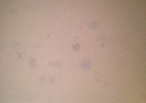 Wallpaper stains