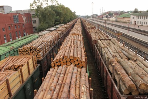 Le bois brut est exporté.