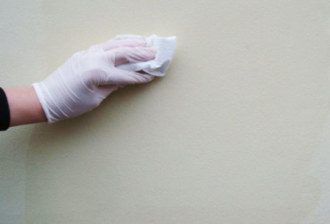Nuvalykite sienas drėgnu skudurėliu, kad pašalintumėte dulkes.