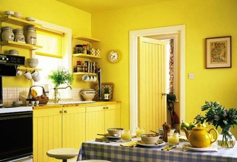 Krāsojiet virtuves interjerā