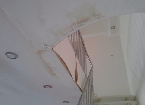 Drywall after flooding with water