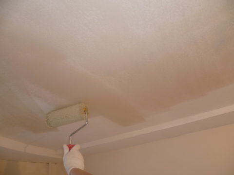 Primer sul soffitto per la pittura dopo stucco