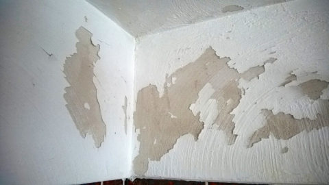 La vernice imbevuta di acqua calda può essere facilmente separata dalle pareti.