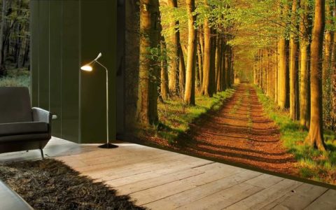 Laluan hutan yang meluas di kertas dinding secara visual meningkatkan ruang bilik