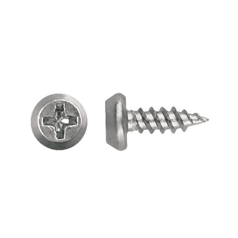 Galvanized metal screw